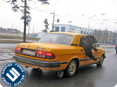 taxi 12v